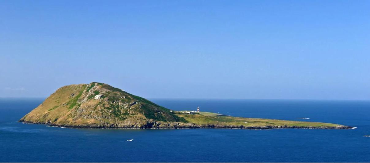 Bwthyn Gwyn Vila Ederyn Exterior foto